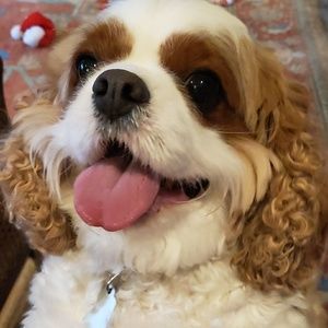 Meet your Posher, Natalie